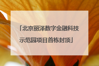 北京丽泽数字金融科技示范园项目首栋封顶