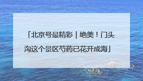 北京号最精彩｜绝美！门头沟这个景区芍药已花开成海