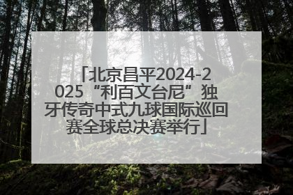 北京昌平2024-2025“利百文台尼”独牙传奇中式九球国际巡回赛全球总决赛举行