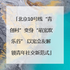 北京10号线“青创村”变身“萌宠欢乐谷” 以宠会友解锁青年社交新范式