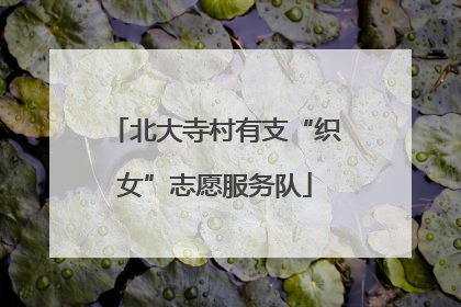 北大寺村有支“织女”志愿服务队