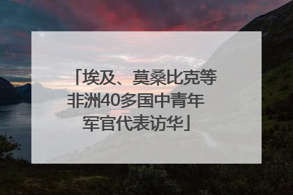 埃及、莫桑比克等非洲40多国中青年军官代表访华