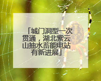 城门洞型一次贯通，湖北紫云山抽水蓄能电站有新进展
