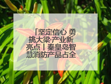 坚定信心 勇挑大梁·产业新亮点丨秦皇岛智慧消防产品占全国市场超四成
