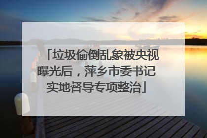 垃圾偷倒乱象被央视曝光后，萍乡市委书记实地督导专项整治