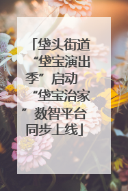 垡头街道“垡宝演出季”启动 “垡宝治家”数智平台同步上线