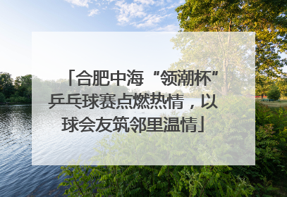 合肥中海“领潮杯”乒乓球赛点燃热情，以球会友筑邻里温情