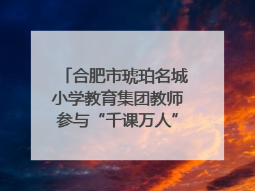 合肥市琥珀名城小学教育集团教师参与“千课万人”数学论坛活动