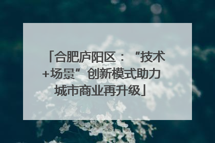合肥庐阳区：“技术+场景”创新模式助力城市商业再升级