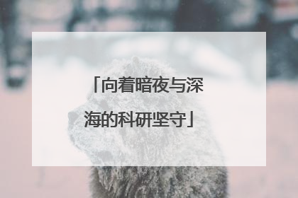 向着暗夜与深海的科研坚守