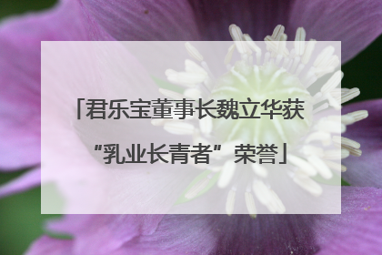 君乐宝董事长魏立华获“乳业长青者”荣誉