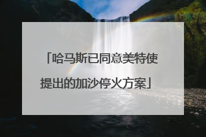 哈马斯已同意美特使提出的加沙停火方案
