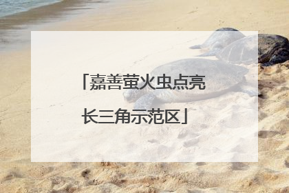 嘉善萤火虫点亮长三角示范区