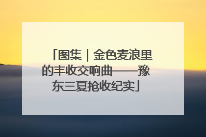 图集｜金色麦浪里的丰收交响曲——豫东三夏抢收纪实