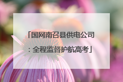 国网南召县供电公司：全程监督护航高考