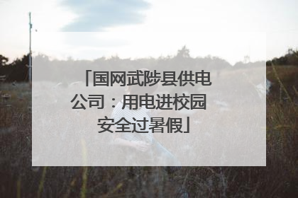 国网武陟县供电公司：用电进校园  安全过暑假