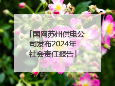 国网苏州供电公司发布2024年社会责任报告