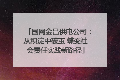 国网金昌供电公司：从积淀中破茧 蝶变社会责任实践新路径