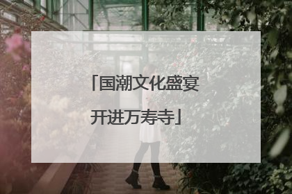国潮文化盛宴开进万寿寺