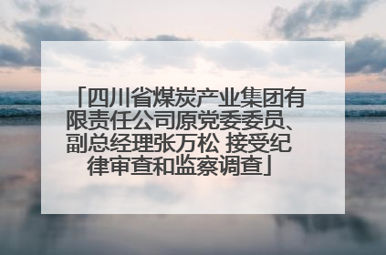 四川省煤炭产业集团有限责任公司原党委委员、副总经理张万松 接受纪律审查和监察调查