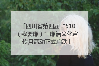 四川省第四届“510（我要廉）”廉洁文化宣传月活动正式启动