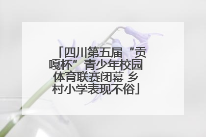 四川第五届“贡嘎杯”青少年校园体育联赛闭幕 乡村小学表现不俗