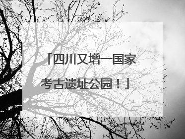 四川又增一国家考古遗址公园！