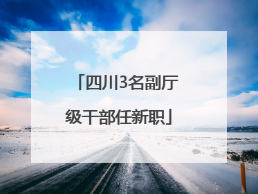 四川3名副厅级干部任新职