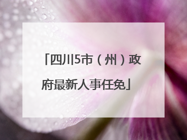 四川5市（州）政府最新人事任免