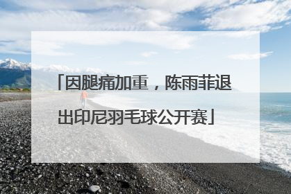 因腿痛加重，陈雨菲退出印尼羽毛球公开赛