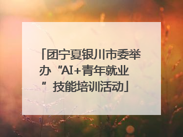 团宁夏银川市委举办“AI+青年就业”技能培训活动