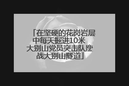 在坚硬的花岗岩层中每天掘进10米 大别山党员突击队鏖战大别山隧道