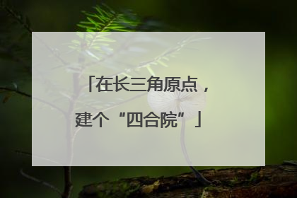 在长三角原点，建个“四合院”