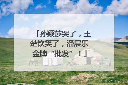 孙颖莎哭了，王楚钦笑了，潘展乐金牌“批发”！
