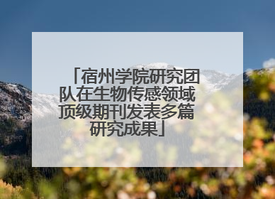 宿州学院研究团队在生物传感领域顶级期刊发表多篇研究成果