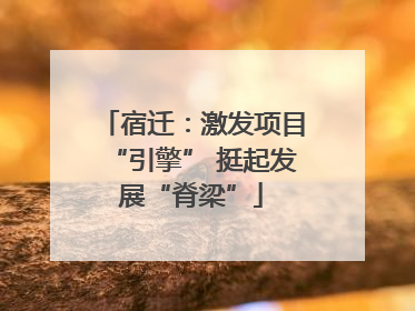 宿迁：激发项目“引擎” 挺起发展“脊梁”