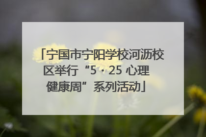 宁国市宁阳学校河沥校区举行“5・25 心理健康周”系列活动