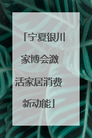 宁夏银川 家博会激活家居消费新动能