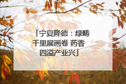 宁夏隆德：绿畴千里展画卷 药香四溢产业兴