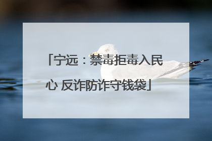宁远：禁毒拒毒入民心 反诈防诈守钱袋