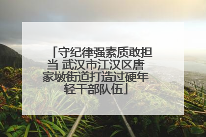 守纪律强素质敢担当 武汉市江汉区唐家墩街道打造过硬年轻干部队伍