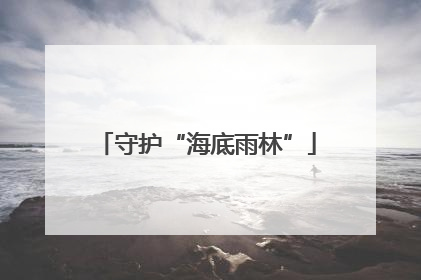 守护“海底雨林”