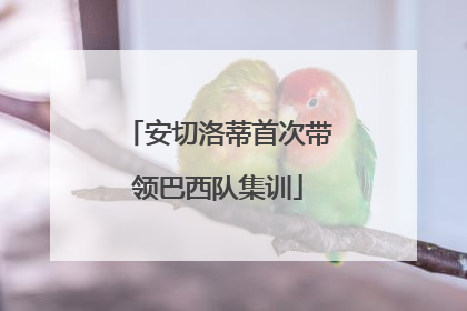安切洛蒂首次带领巴西队集训