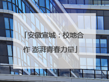安徽宣城：校地合作 澎湃青春力量