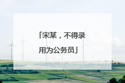 宋某，不得录用为公务员