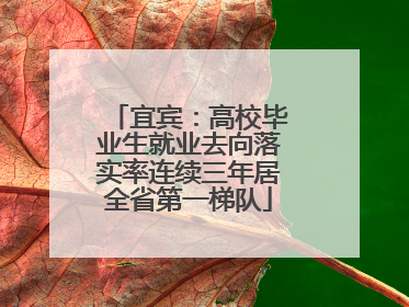 宜宾：高校毕业生就业去向落实率连续三年居全省第一梯队