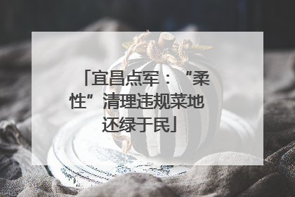宜昌点军：“柔性”清理违规菜地 还绿于民