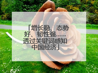 增长稳、态势好、韧性强……透过关键词感知中国经济