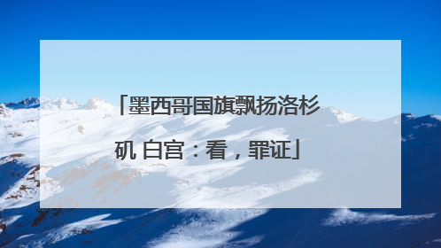 墨西哥国旗飘扬洛杉矶 白宫：看，罪证
