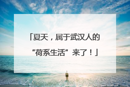 夏天，属于武汉人的“荷系生活”来了！